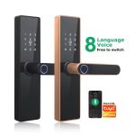 Enrique Tuya WiFi Biometric Electronic Sliding Aluminum Alloy Smart Lock with APP Fingerprint Password Card & Key Unlock - Image 5
