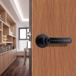 Enrique Tuya Factory Price Smart Handle Lock Home Electronic Tuya App Digital Smart Gate Sale Electric Lock Smart Door Lock - Image 7